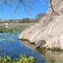 Photo of Louise Hays Park