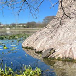 Louise Hays Park