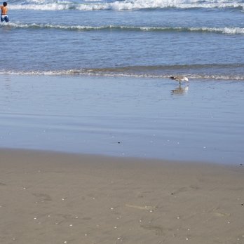 Venice Beach Boardwalk - Beaches Near Me - Venice, California Venice Beach Boardwalk - Beaches Near Me - Venice, California
