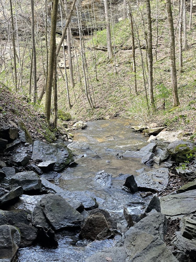 BUNKUM CAVE LOOP TRAIL Updated August 2024 28 Photos 3700 Cordell