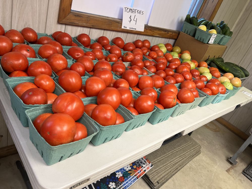 Food from Alfred Corner Store