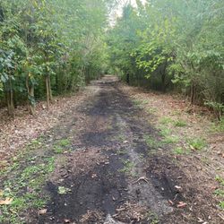 Pat Dolan Trail