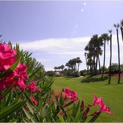 Clifton Landscaping - Golfer's View