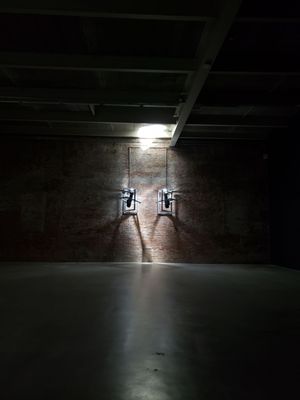 Dia Chelsea by null