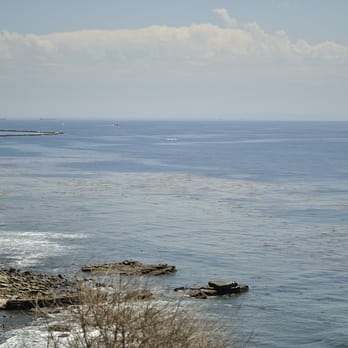 Point Fermin Park - Parks Near Me - San Pedro, California