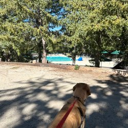 Thousand Trails - View of pool