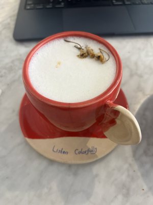 The Social Space by null