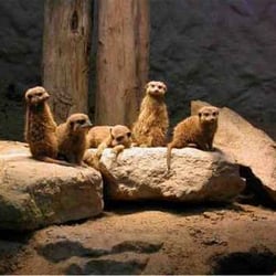 Zoo Osnabrück