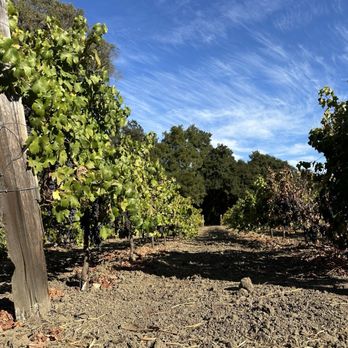 Madonna Estate - Wineries Near Me - Napa, California Madonna Estate - Wineries Near Me - Napa, California