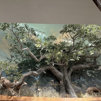 Bass Pro Shops - Accessories Near Me - Irvine, California