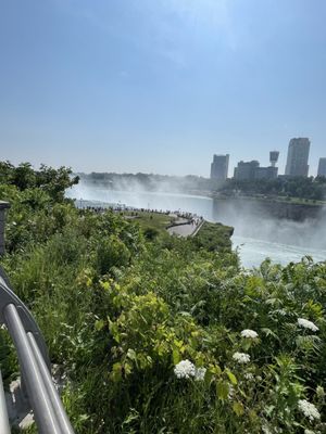 Top of the Falls by null