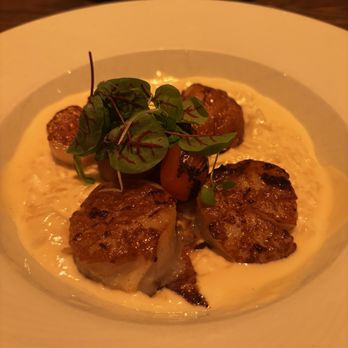 Coral - Scallops & Risotto - Seafood Near Me - Greenville, South Carolina Coral - Scallops & Risotto - Seafood Near Me - Greenville, South Carolina