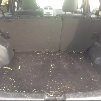 Splash Hand Car Wash & Detailing - Didn't vacuum my trunk. Still the same pine needles from Xmas. - Car Wash Near Me - Northbrook, Illinois Splash Hand Car Wash & Detailing - Didn't vacuum my trunk. Still the same pine needles from Xmas. - Car Wash Near Me - Northbrook, Illinois