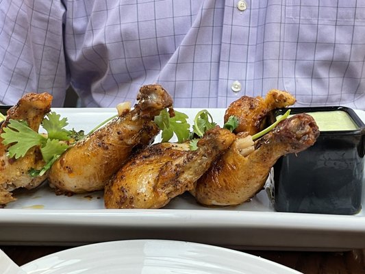 Iguana On Park by null