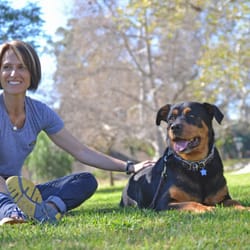 Thank Dog! Training