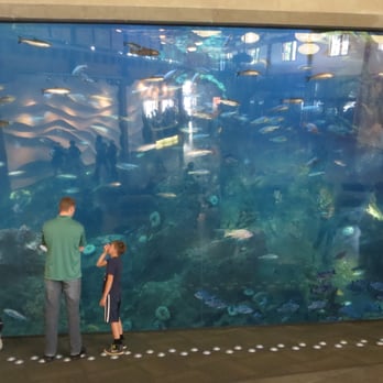 Seattle Aquarium - Aquarium 02 - Aquariums Near Me - Seattle, Washington Seattle Aquarium - Aquarium 02 - Aquariums Near Me - Seattle, Washington