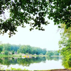 Country Park
