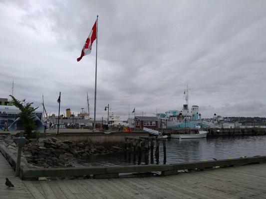Halifax Regional Municipality by null