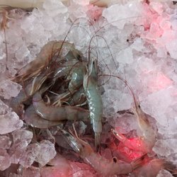 Seafood Shack