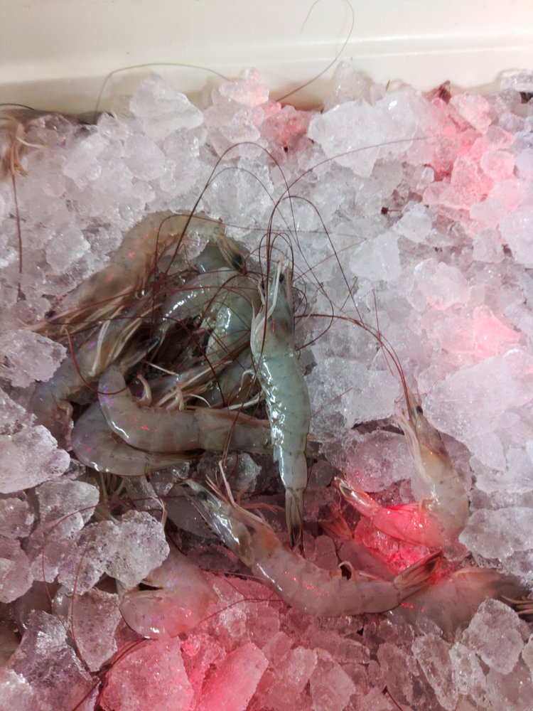 SEAFOOD SHACK Updated October 2024 2887 Holden Beach Rd SW, Supply