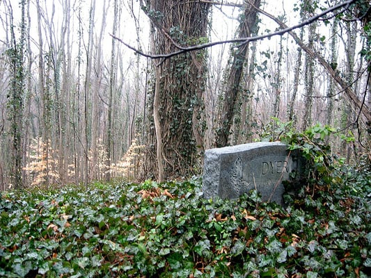 Evergreen Cemetery by null