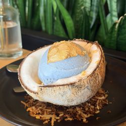Coconut ice cream