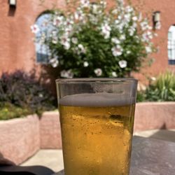 Arlington Bar & Grill - Draft Pilsner and hibiscus.