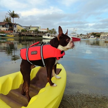 Everyday California Huntington Beach - My dog Coach LOVES to come along - Rafting/Kayaking Near Me - Sunset Beach, California