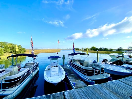 Wahoos Fish House by null