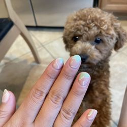 Bella Vie Nails & Spa