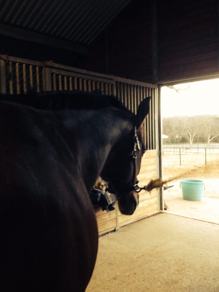 ROADRUNNER FARM Updated August 2024 Argyle, Texas Horse Boarding