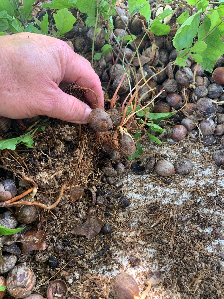 Slide of CECO Contracting