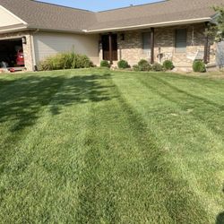 Colton's Lawn Care
