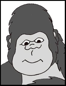 Safari Septic & Home Services - septic in Orlando, FL