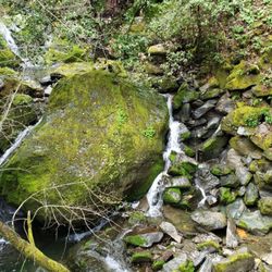 Elim Grove Cottages - Nearby waterfall.