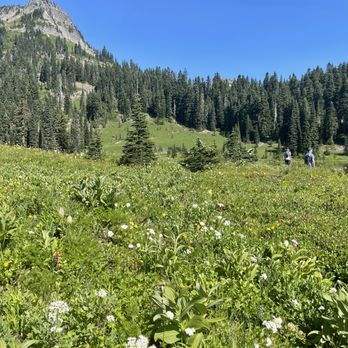 Discover Nature - Wildflowers Aug 2022 - Tours Near Me