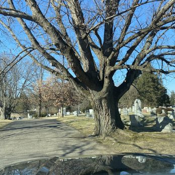 Cave Hill Cemetery - Funeral Services & Cemeteries Near Me - Louisville, Kentucky