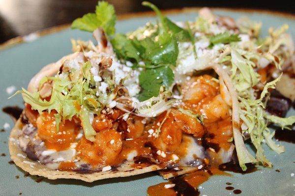 Tamayo by null Tamayo by null