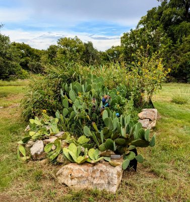 Vista Brewing by null