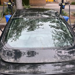 All the pollen
