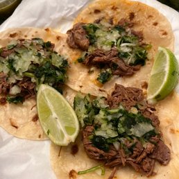 Birria taco on flour tortilla