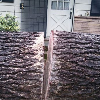 Gentlemens Tree Service - Tree Services Near Me - Beaverton, Oregon Gentlemens Tree Service - Tree Services Near Me - Beaverton, Oregon
