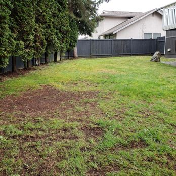 Supremax Construction - Before pictures of backyard - Masonry/Concrete Near Me - Bothell, Washington Supremax Construction - Before pictures of backyard - Masonry/Concrete Near Me - Bothell, Washington