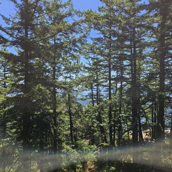 Mt Erie Park - View of the landscape - Hiking Near Me - Anacortes, Washington Mt Erie Park - View of the landscape - Hiking Near Me - Anacortes, Washington
