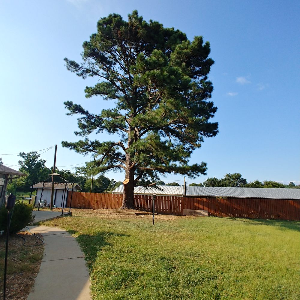 Leo's Tree Service - After - Landscaping Near Me Leo's Tree Service - After - Landscaping Near Me