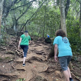 Ehukai Pillbox Hike - One of the more difficult parts of the hike - Hiking Near Me - Haleiwa, Hawaii