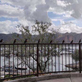Saguaro Lake Marina - Marinas Near Me - Mesa, Arizona Saguaro Lake Marina - Marinas Near Me - Mesa, Arizona