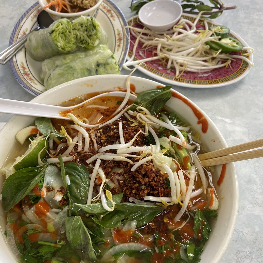 Vegetarian Pho & Vegetarian Spring Rolls