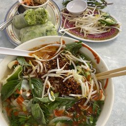 Vegetarian Pho & Vegetarian Spring Rolls