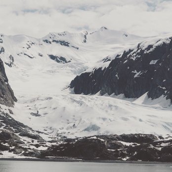 Major Marine Tours - Tours Near Me - Anchorage, Alaska Major Marine Tours - Tours Near Me - Anchorage, Alaska
